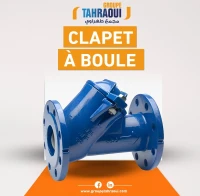 Clapet a boule