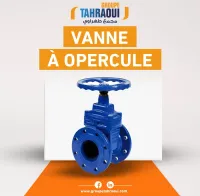 Vanne à opercule