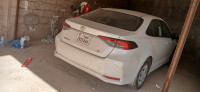 voitures-toyota-corolla-2024-el-oued-algerie