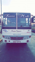 bus-isuzu-algerie