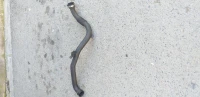 Durite turbo 1.9 dci et 1.6 hdi