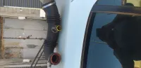Durite turbo 1.6 hdi