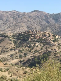 Huiles 