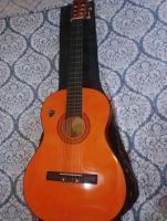 guitare-jackson-fouka-tipaza-algerie