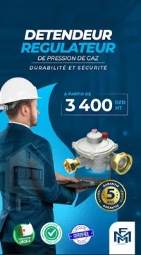 Régulateur de Gaz B06 Fmm industry 