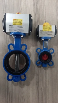 Vanne motorisé électrique et pneumatique 