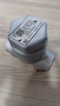 Purgeur thermodynamique vapeur