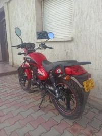 VMS G-light 2025