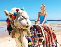  Caire- Aswan- Hurghada