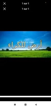 Location Terrain Boumerdes Khemis el khechna