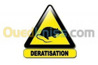 nettoyage-jardinage-deratisation-et-desinsectisation-el-achour-alger-algerie