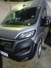 fourgon-fiat-ducato-2-panneau-2024-chlef-algerie