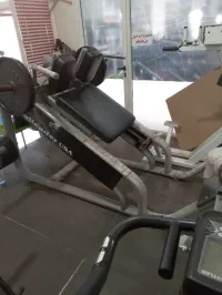 hack squat realdeal