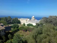 Vente Terrain Alger Bologhine