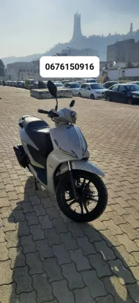 Vms Coral 2023
