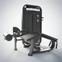 DHZ Prone Leg Curl E7001