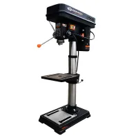 Perseuse a Colonne 550W