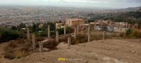 terrain-vente-blida-bouarfa-algerie