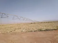 Vente Terrain Agricole El Menia El Meniaa