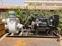 MOTO POMPE DIESEL TRACTABLE 