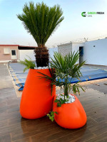 decoration-amenagement-pot-de-fleurs-bordj-bou-arreridj-algerie