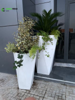 decoration-amenagement-pot-de-fleurs-bordj-bou-arreridj-algerie