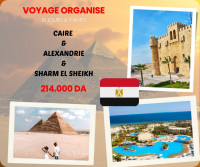 voyage-organise-egypte-combinee-القاهرة-الإسكندرية-شرم-الشيخ-bab-ezzouar-alger-algerie