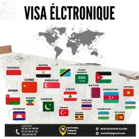 VISA ELECTRONIQUE 