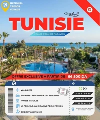 VOYAGE ORGANISE TUNISIE PAR AVION 