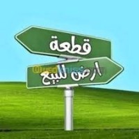 أرض-بيع-بومرداس-حمادي-الجزائر
