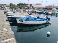 قوارب-a-vendre-embarcation-peche-plaisance-5m20-suzuki-40cv-جيجل-الجزائر