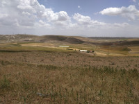 terrain-agricole-vente-setif-el-ouricia-algerie