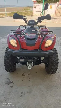 300cc Vms 2022