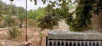 فيلا-بيع-سيدي-بلعباس-الجزائر