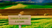 terrain-agricole-vente-oran-bousfer-algerie