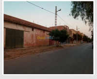 hangar-vente-ain-temouchent-hammam-bouhadjar-algerie