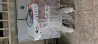 Autoclave et table dentaire 