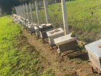 Ruche mère d abeilles 10 cadres