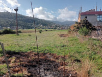 terrain-vente-jijel-djemaa-beni-habibi-algerie