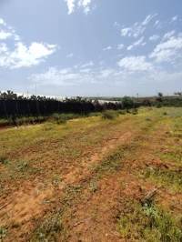 Vente Terrain Agricole Blida Mouzaia