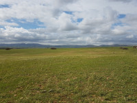 terrain-agricole-vente-oran-algerie