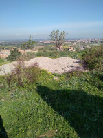 terrain-vente-blida-bougara-algerie