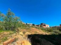 land-sell-blida-meftah-algeria