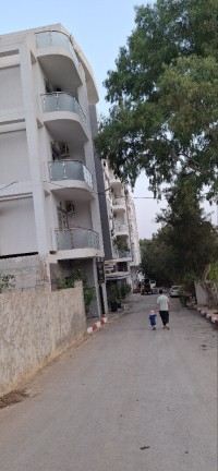 terrain-vente-alger-saoula-algerie