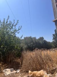 أرض-بيع-الجزائر-أولاد-الشبل
