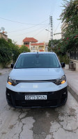 utilitaire-fiat-professional-doblo-2023-italien-guelma-algerie