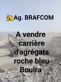 Vente Usine Bouira Bouira
