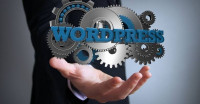 إدارة-مكتبية-و-أنترنت-developpeur-wordpress-بن-عكنون-الجزائر