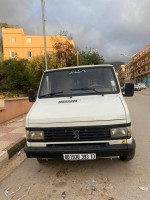 utilitaire-peugeot-j5-1993-nedroma-tlemcen-algerie