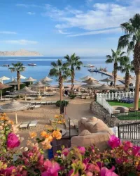 Combiné Caire sharm el chiekh 5* All-inclusive ou sharm directe 